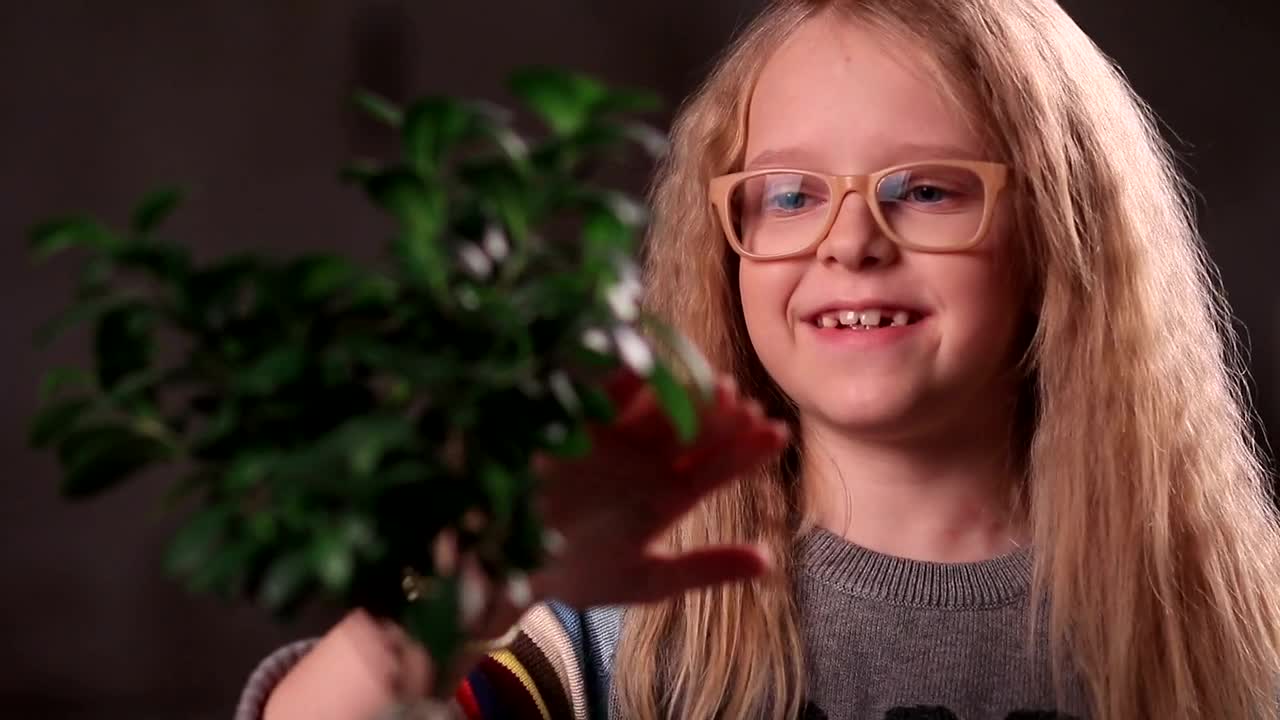 Stock Video Girl Touching A Plastic Plant Live Wallpaper For PC