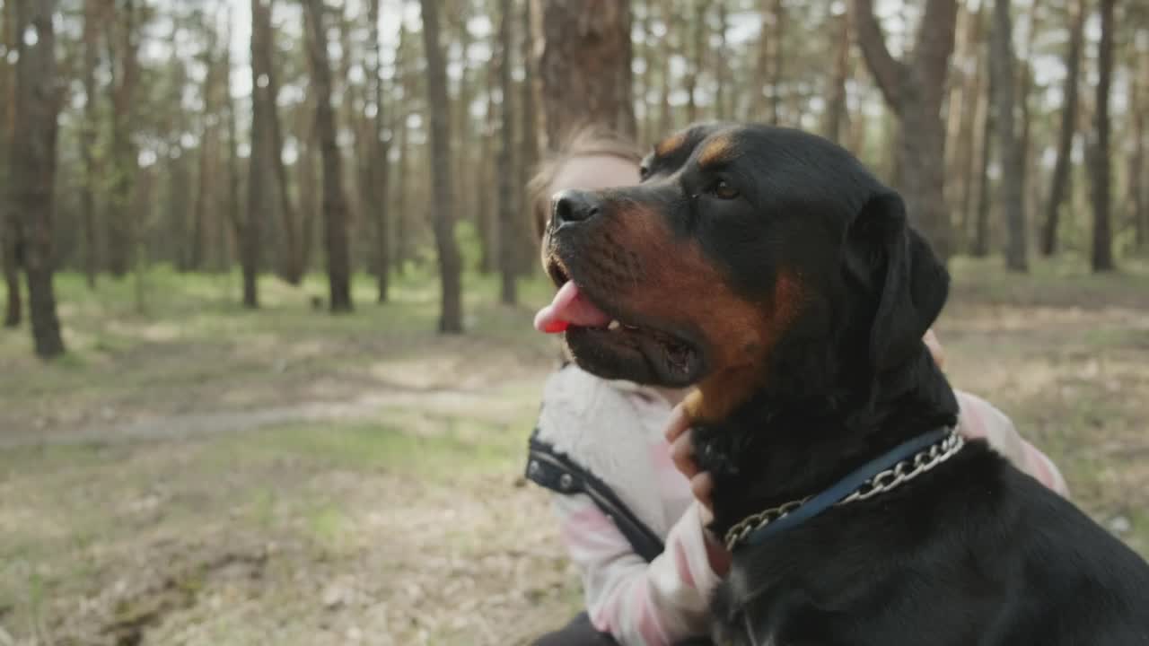 Stock Video Girl Stroking Her Dog In The Forest Live Wallpaper For PC