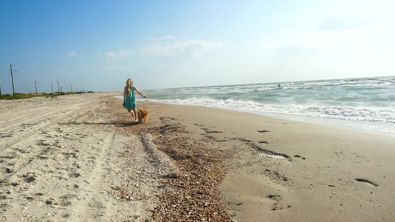 Stock Video Girl Running In The Beach With Her Dog Live Wallpaper For PC