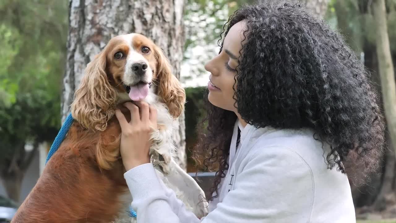 Stock Video Girl In A Park Carrying And Petting Her Cocker Spaniel Live Wallpaper For PC