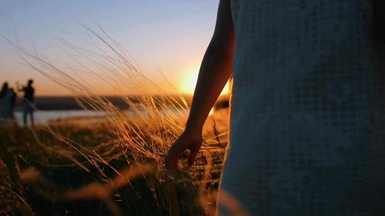Stock Video Girl In A Dress Caressing The Grass At Sunset Live Wallpaper For PC