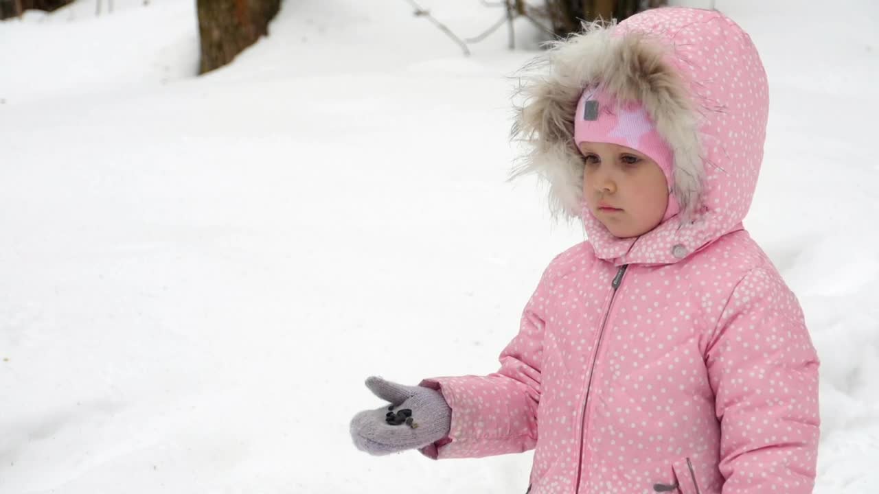 Stock Video Girl Feeding Birds In The Snow Live Wallpaper For PC