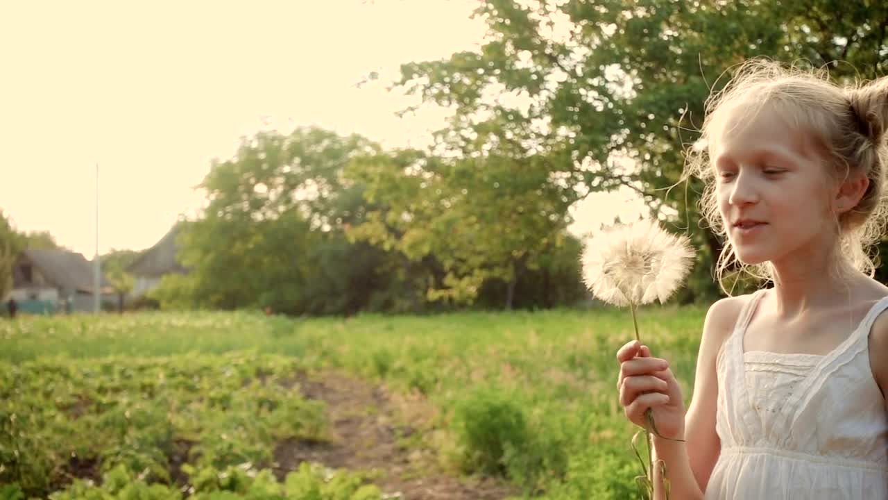 Stock Video Girl Blowing A Dandelion Flower Live Wallpaper For PC