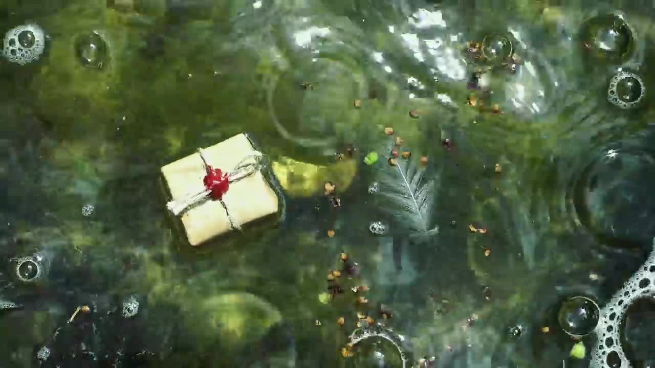 Stock Video Gift Wrapped Floating In The Water Of A Lake Live Wallpaper For PC