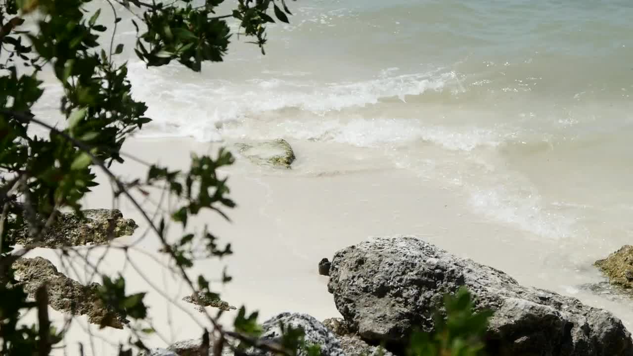 Stock Video Gentle Waves On The Beach And A Rock Live Wallpaper For PC