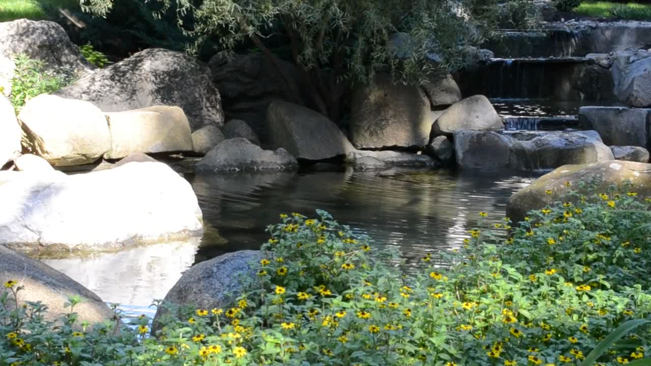 Stock Video Gentle Stream In A Public Garden Live Wallpaper For PC