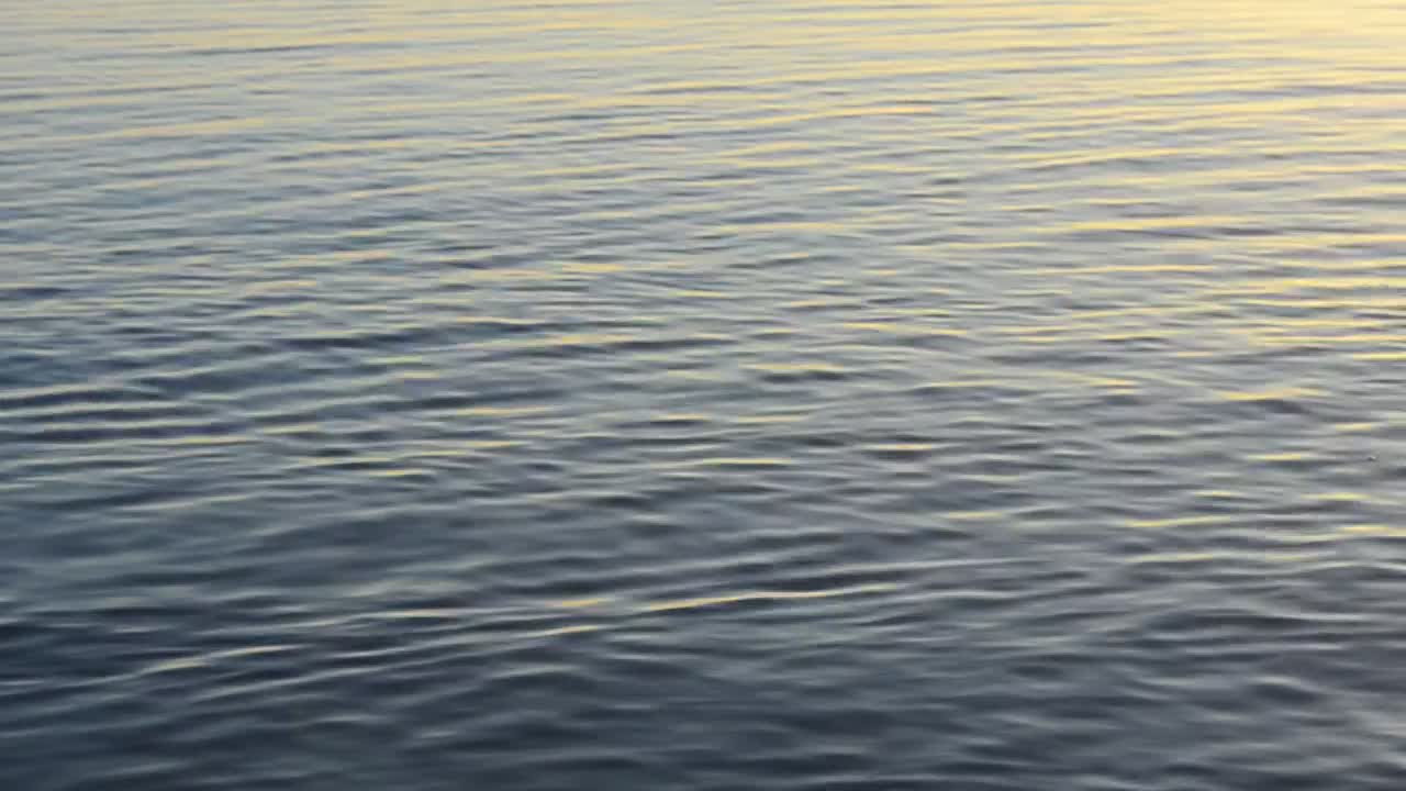 Stock Video Gentle Ripples Across The Water Live Wallpaper For PC