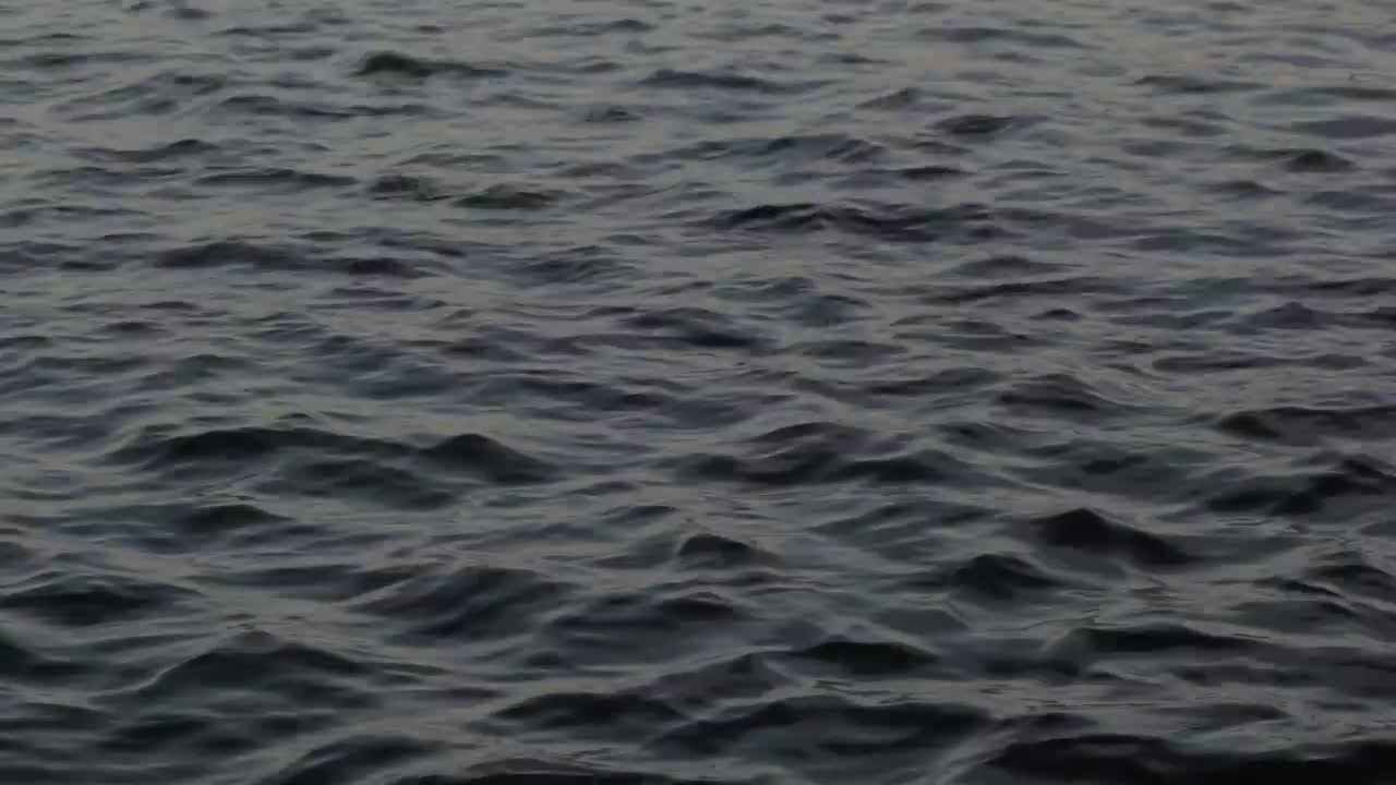 Stock Video Gentle Ripples Across A Harbor Live Wallpaper For PC