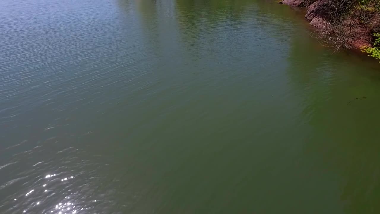 Stock Video Gentle Lake And Vibrant Forests Live Wallpaper For PC