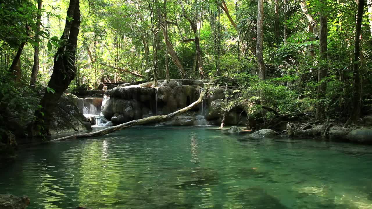 Stock Video Gentle Forest River And Waterfall Live Wallpaper For PC