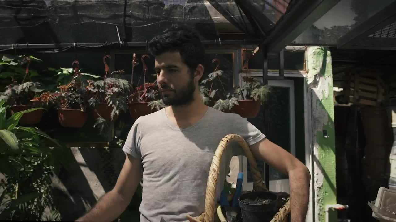 Stock Video Gardener Walking Through A Nursery Live Wallpaper For PC