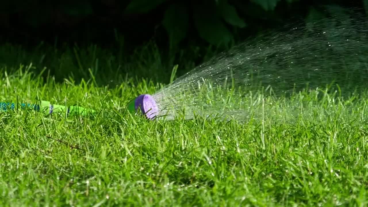 Stock Video Garden Spraywer On The Grass Live Wallpaper For PC