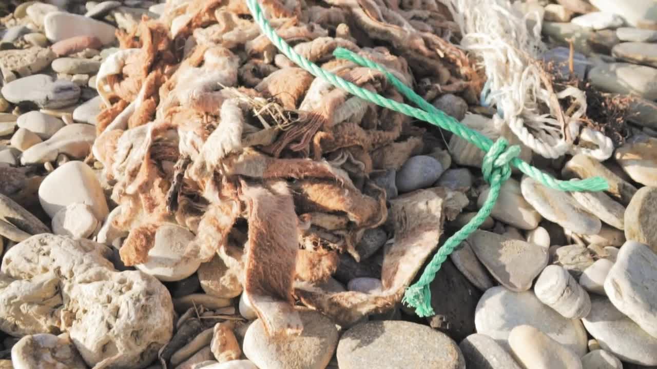 Stock Video Garbage Thrown In Nature Live Wallpaper For PC