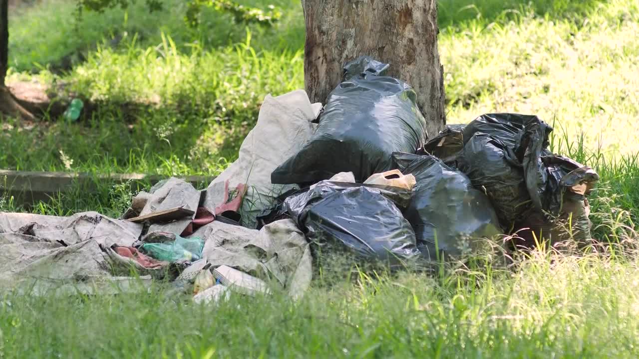Stock Video Garbage Piled Up At The Base Of A Tree In Live Wallpaper For PC