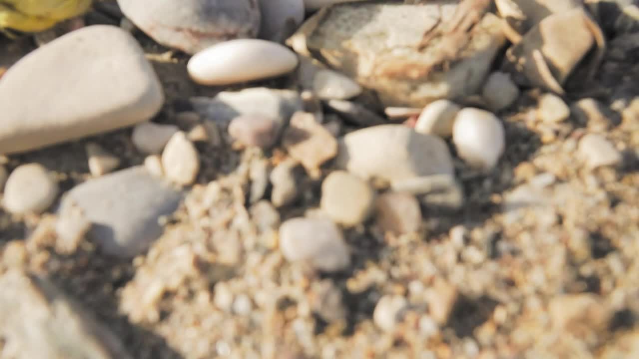 Stock Video Garbage On The Beach Live Wallpaper For PC