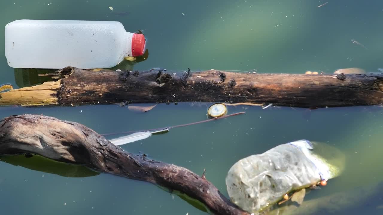 Stock Video Garbage In A River Very Close View Live Wallpaper For PC