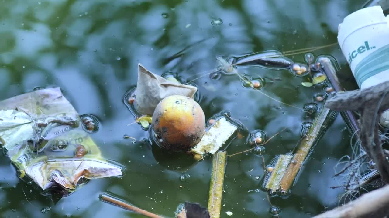 Stock Video Garbage Floating In Dirty Water Live Wallpaper For PC