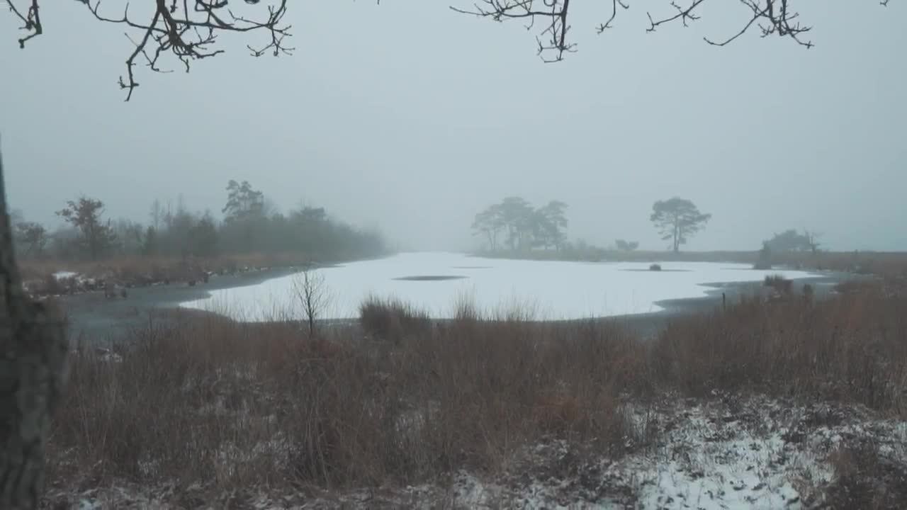 Stock Video Frozen Winter Lake Live Wallpaper For PC