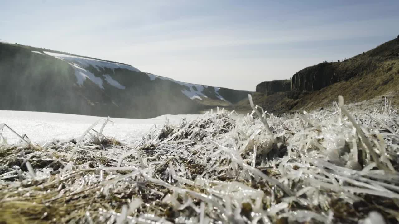 Stock Video Frozen Moss Live Wallpaper For PC