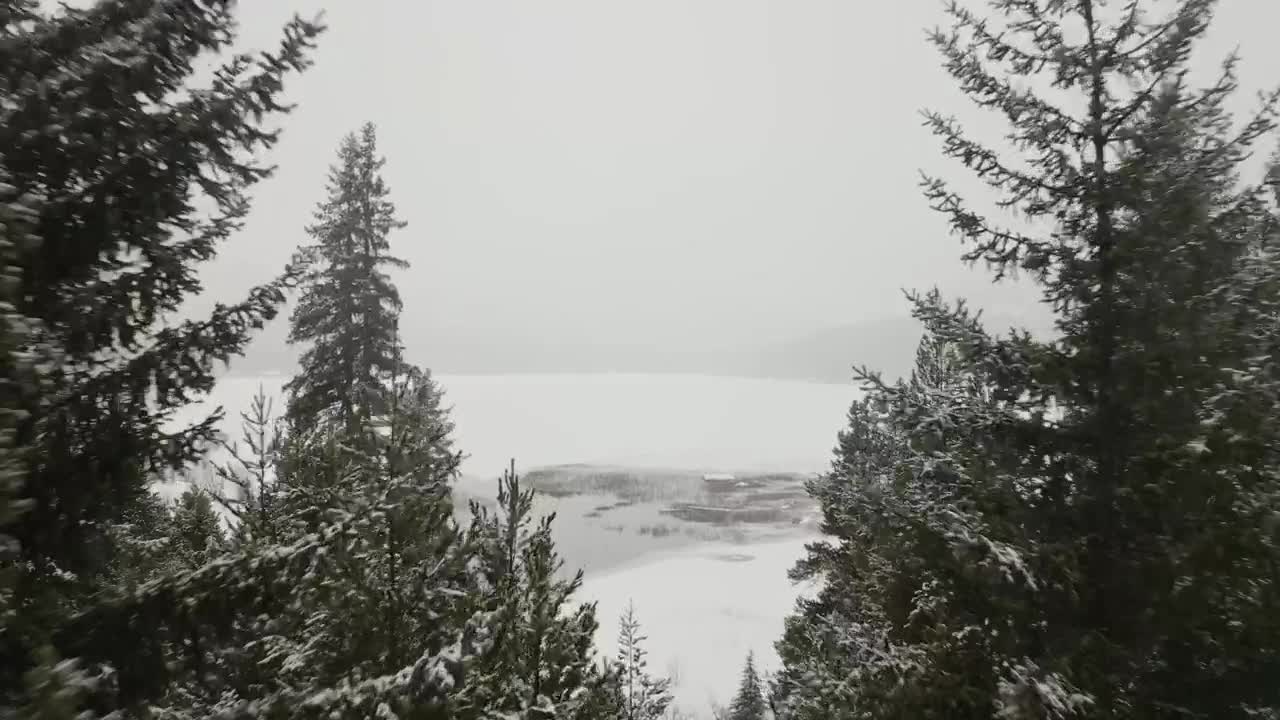 Stock Video Frozen Lake In Front Of A Snowy Forest Live Wallpaper For PC