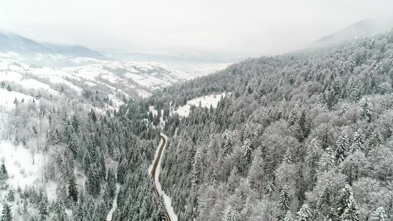 Stock Video Frozen Forest With A Road On A Frosty Day Live Wallpaper For PC