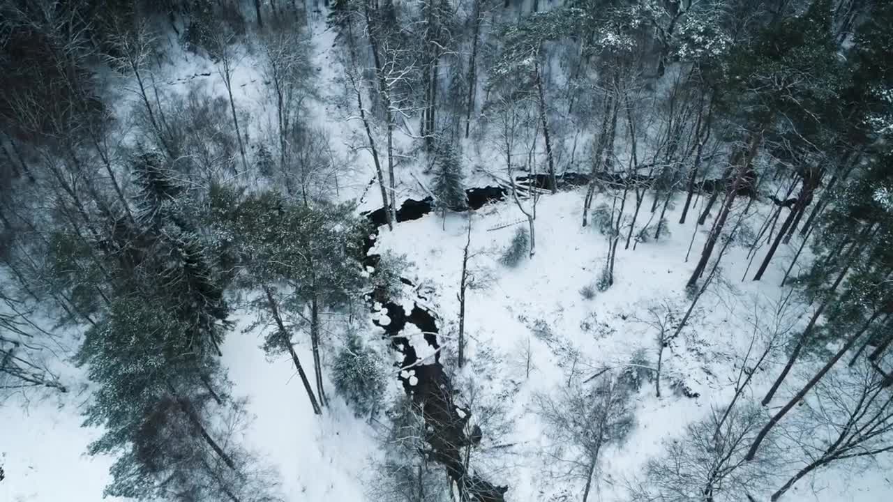 Stock Video Frozen Forest From Above Live Wallpaper For PC