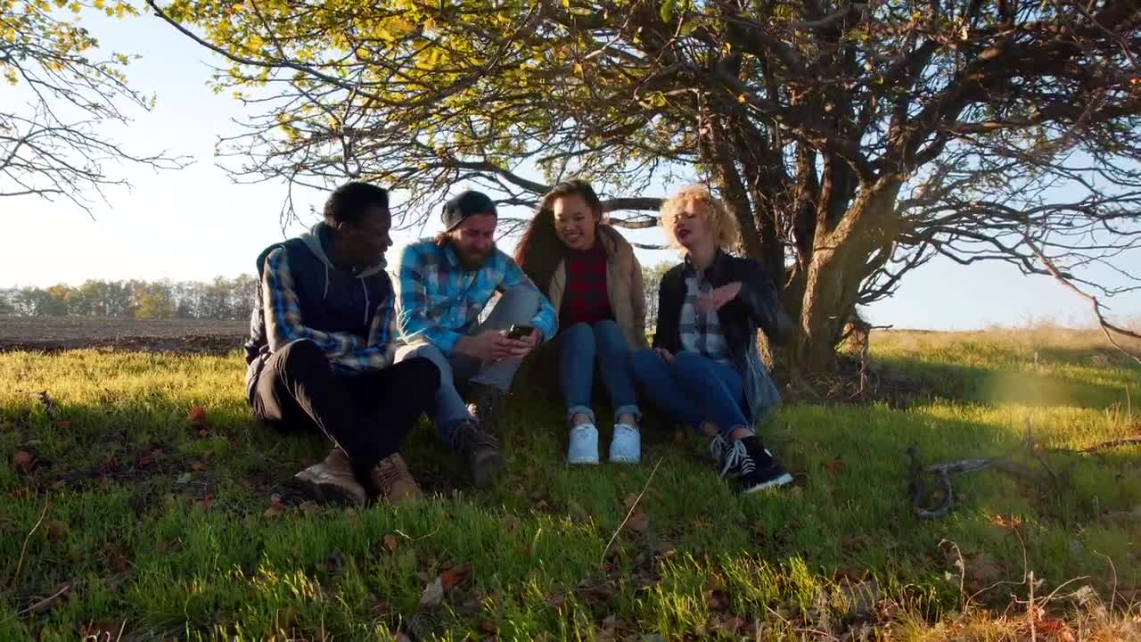 Stock Video Friends Watching The Phone In The Countryside Live Wallpaper For PC