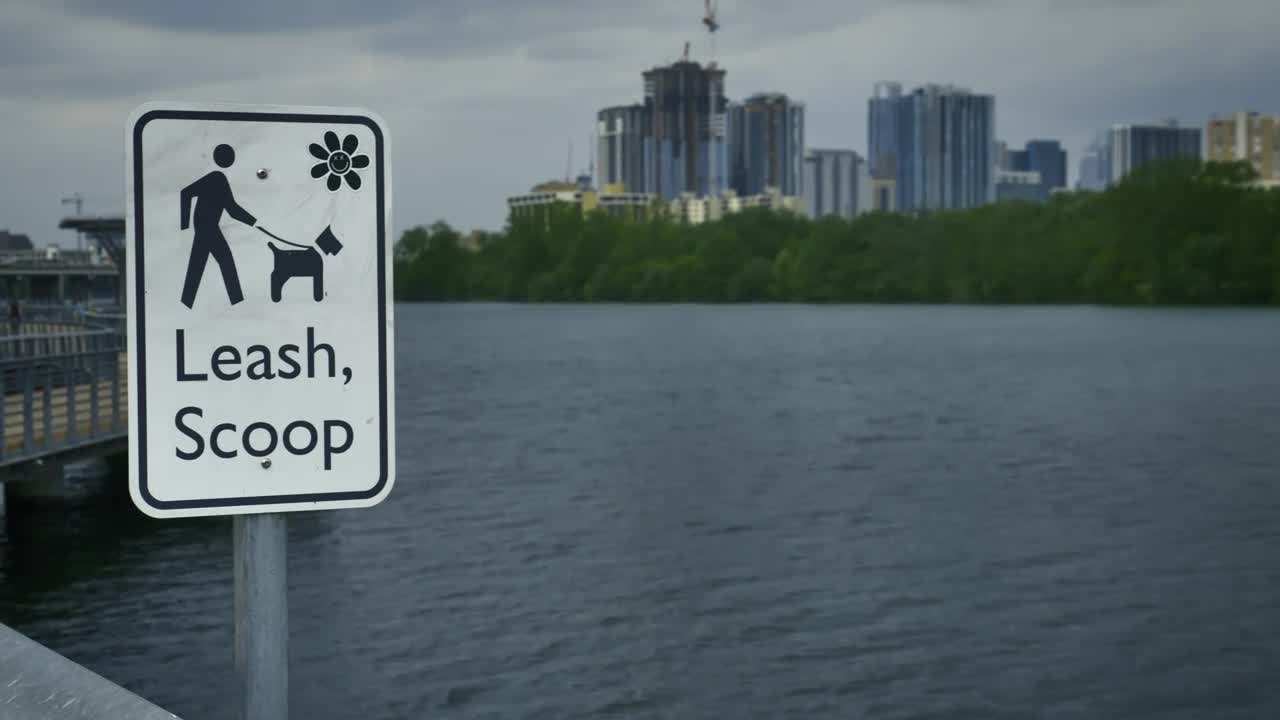 Stock Video Lake On The Outskirts Of A Big City Animated Wallpaper