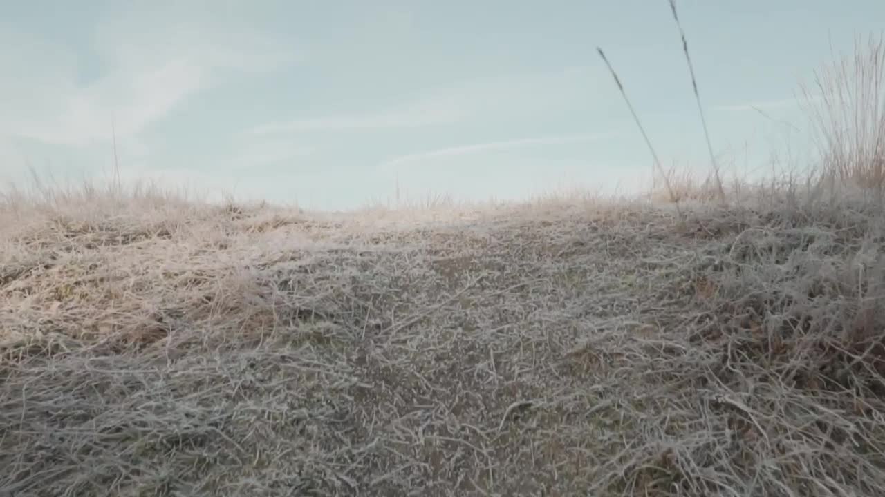 Stock Video Lake In The Forest During Winter Animated Wallpaper