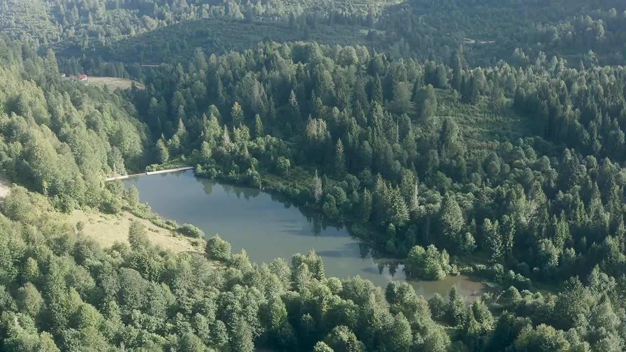 Stock Video Lake In The Middle Of A Forest Animated Wallpaper