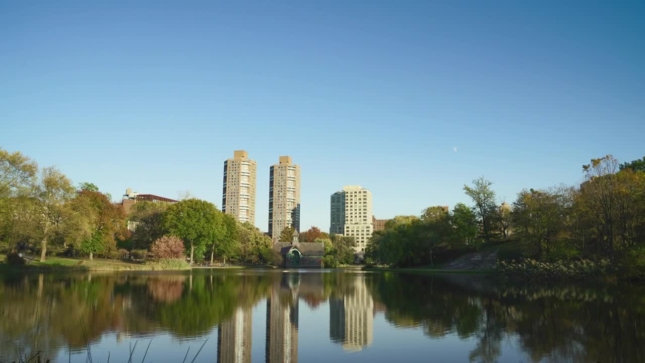 Stock Video Lake In Central Park Animated Wallpaper