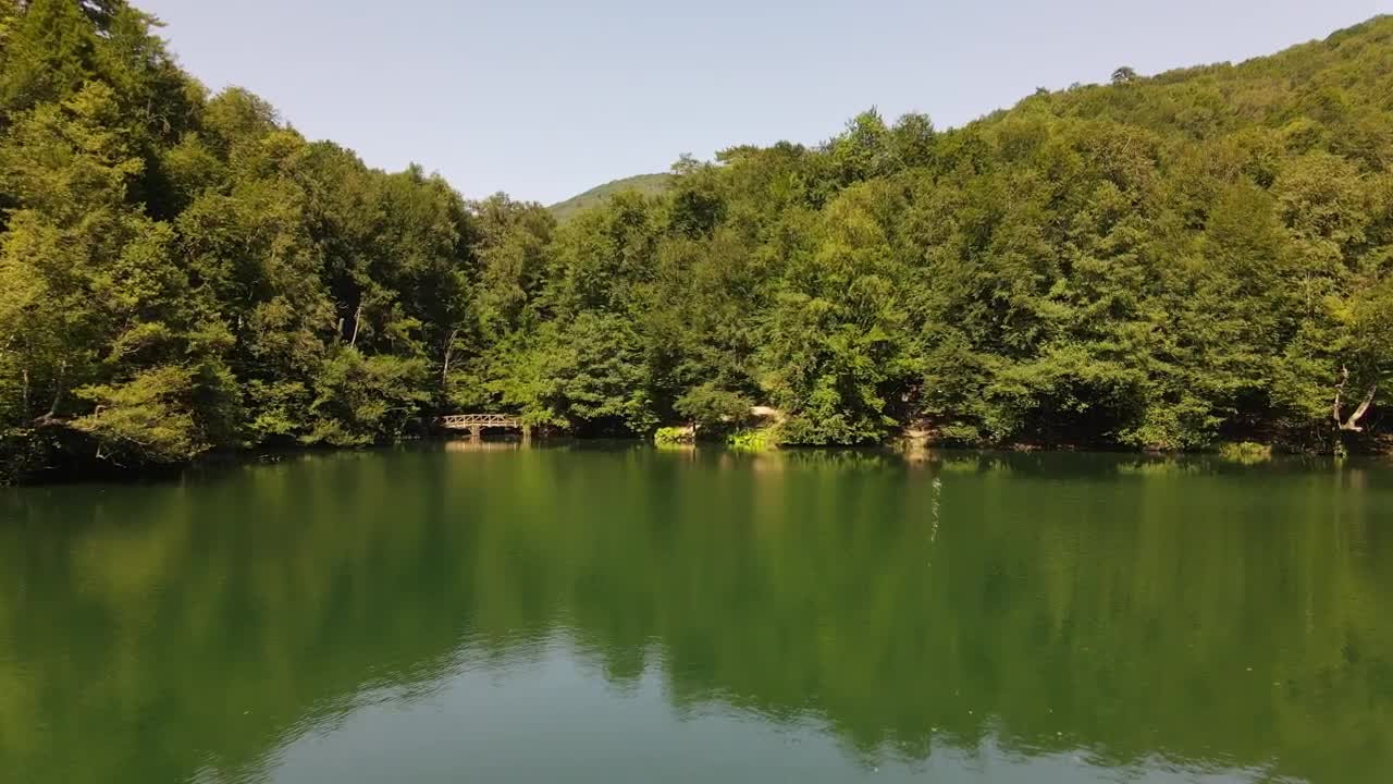 Stock Video Lake In A Wooded Park Low Aerial Shot Animated Wallpaper