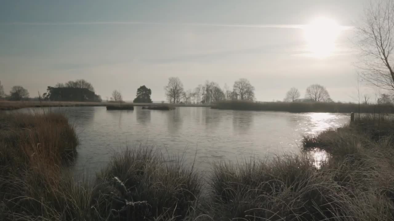 Stock Video Lake In A Forest During The Fall Animated Wallpaper