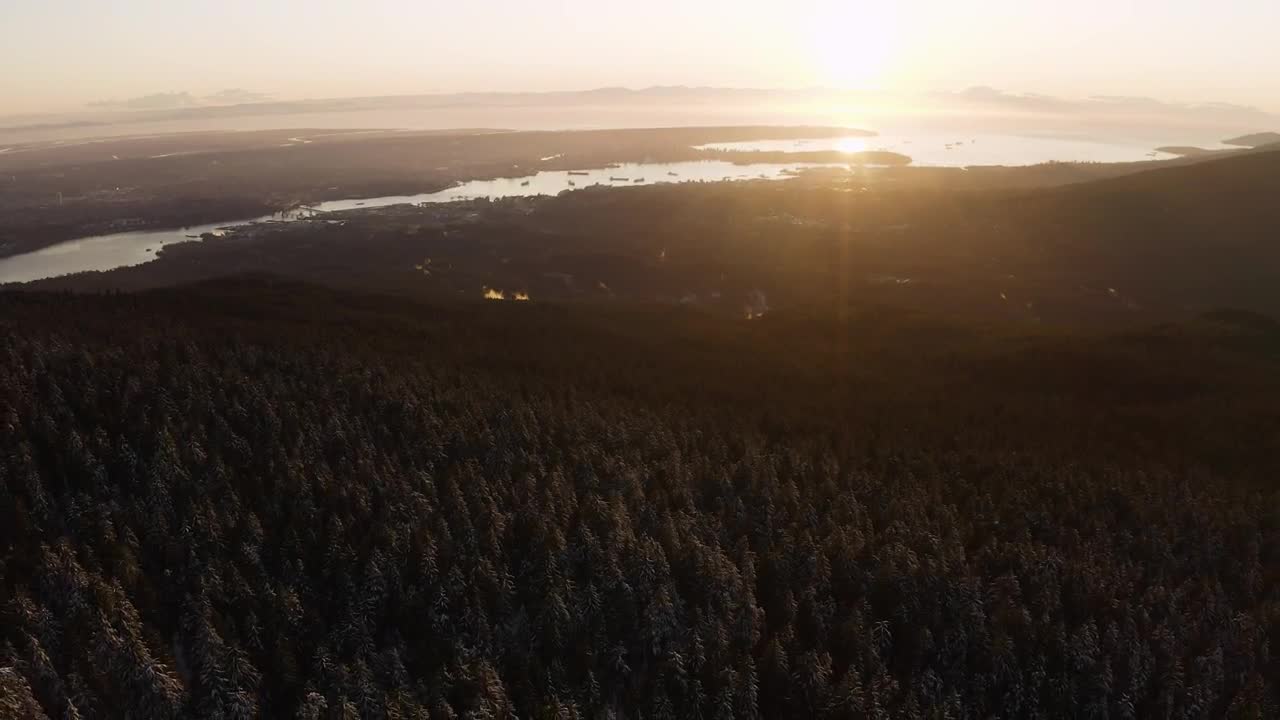 Stock Video Lake From A Pine Forest During A Sunset Animated Wallpaper