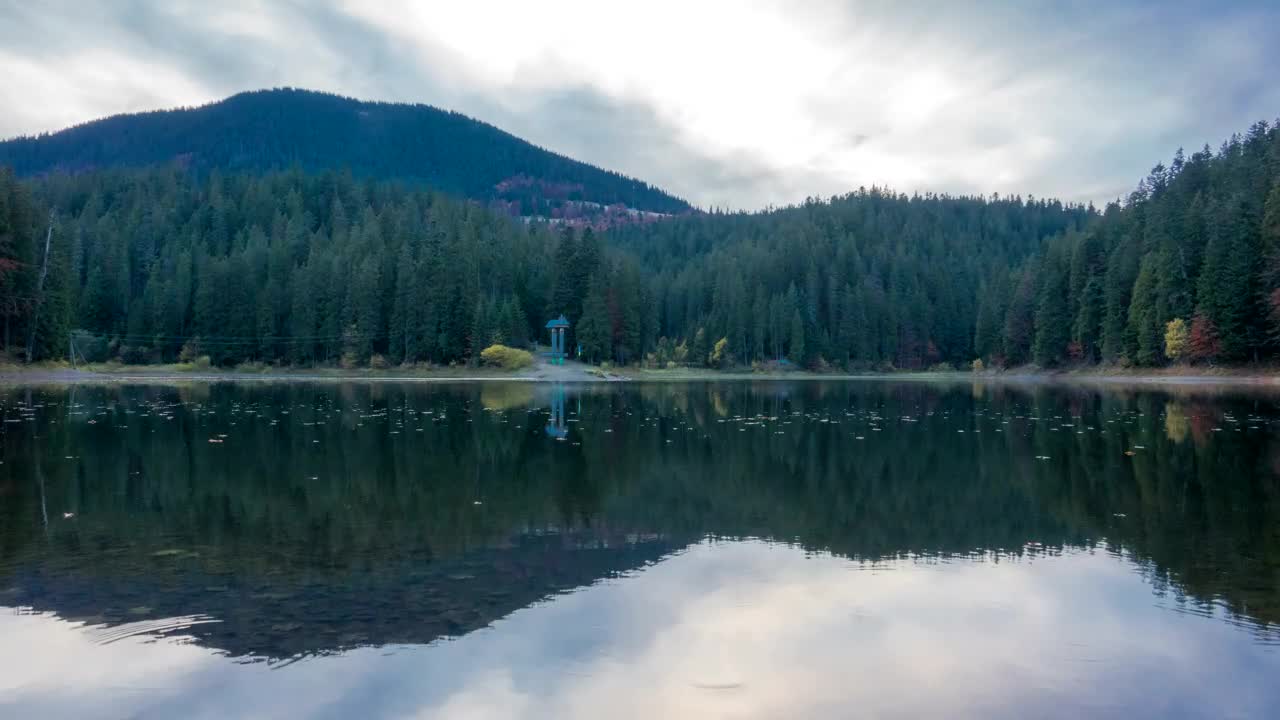 Stock Video Lake And The Forest Animated Wallpaper