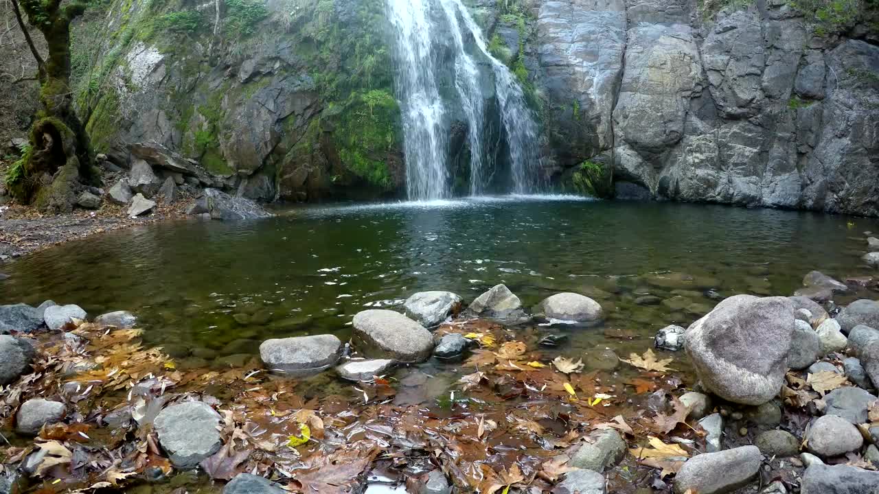 Stock Video Lake And Its Waterfall In The Woods Animated Wallpaper