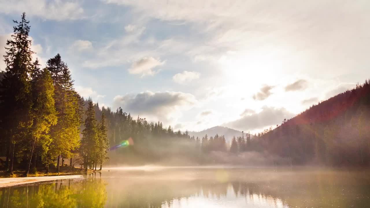 Stock Video Lagoon In The Middle Of A Pine Forest Animated Wallpaper