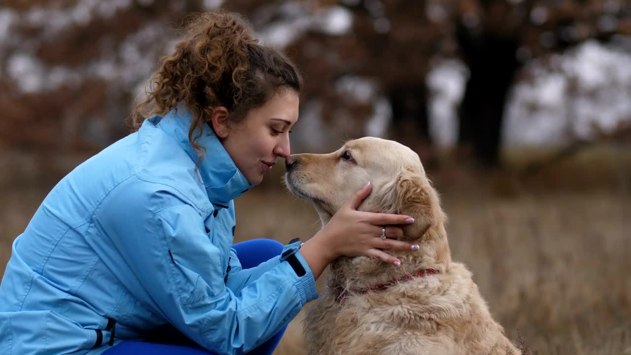 Stock Video Labrador Licks His Owner Animated Wallpaper