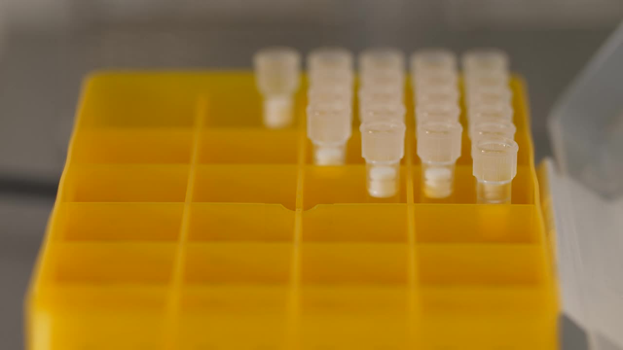 Stock Video Laboratory Sample Tray Animated Wallpaper