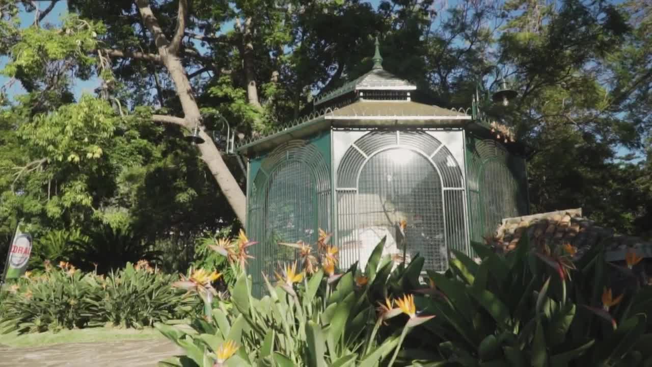 Stock Video Kiosk In A Garden Animated Wallpaper