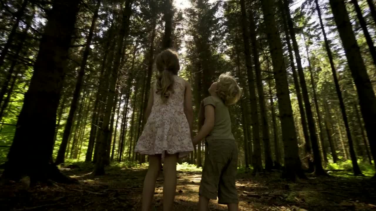 Stock Video Kids Looking Around A Forest Animated Wallpaper