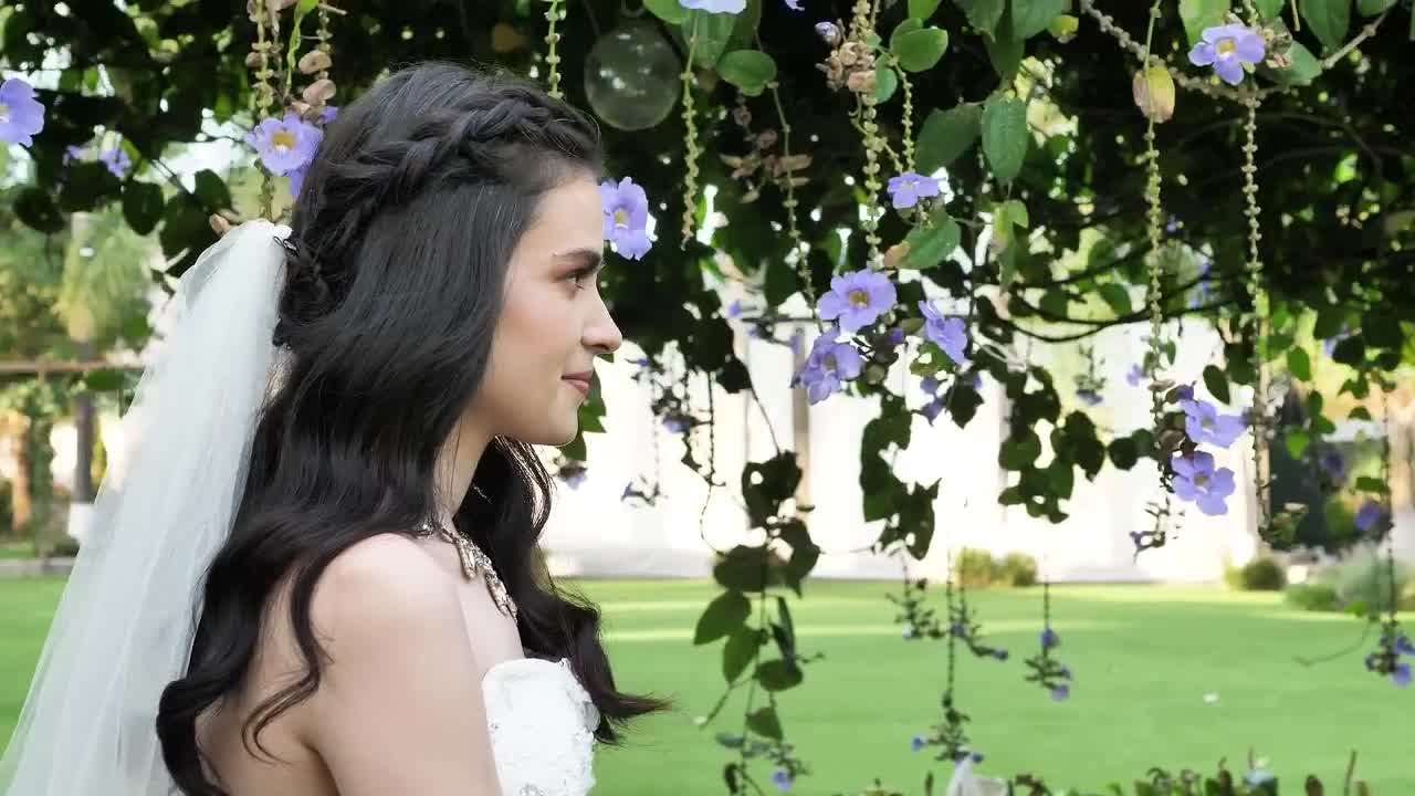 Stock Video Just Married Couple Animated Wallpaper