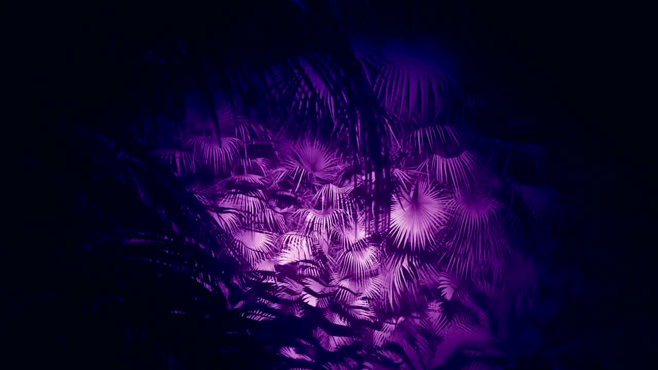 Stock Video Jungle Palm Trees With Purple Light Animated Wallpaper