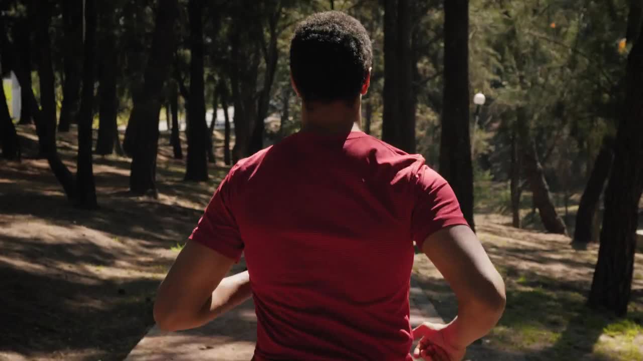 Stock Video Jogging Behind A Man In The Park Animated Wallpaper