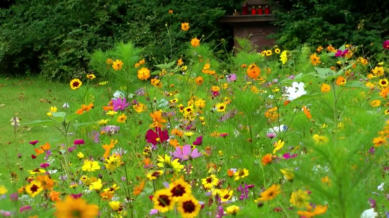 Stock Video Jesus Statue In The Garden Of A Cemetery Animated Wallpaper