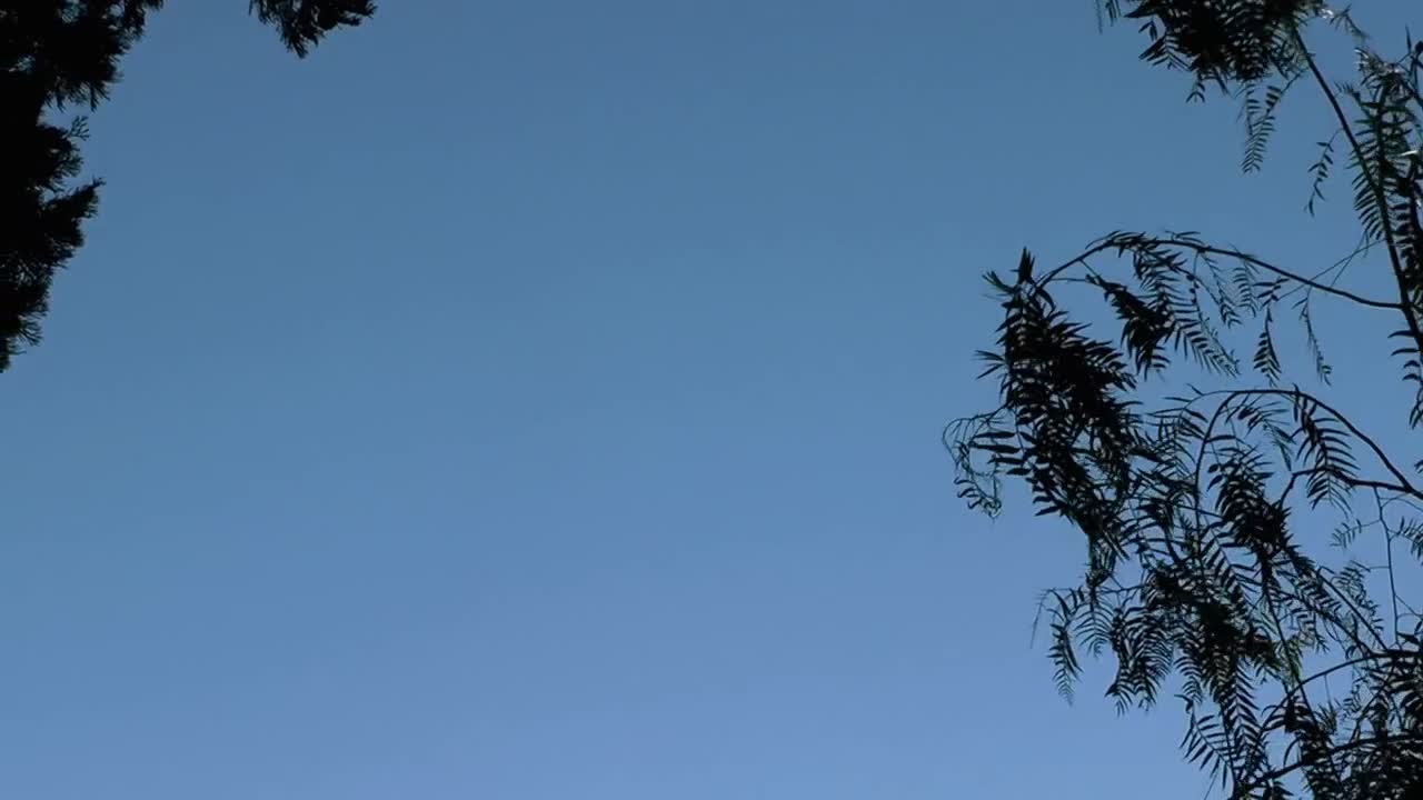 Stock Video Jesus Cross On A Church Animated Wallpaper