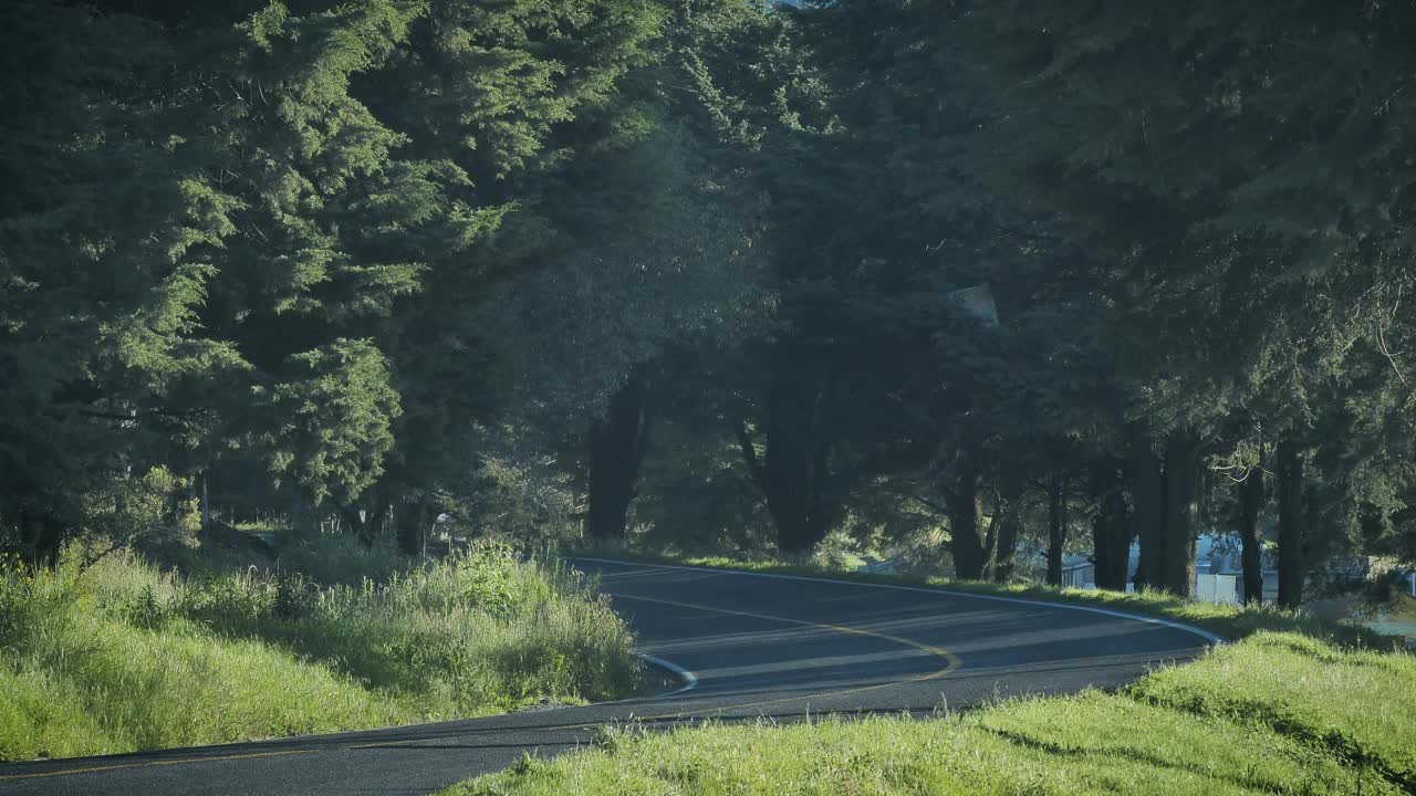 Stock Video Jeep In The Road Between Nature Animated Wallpaper