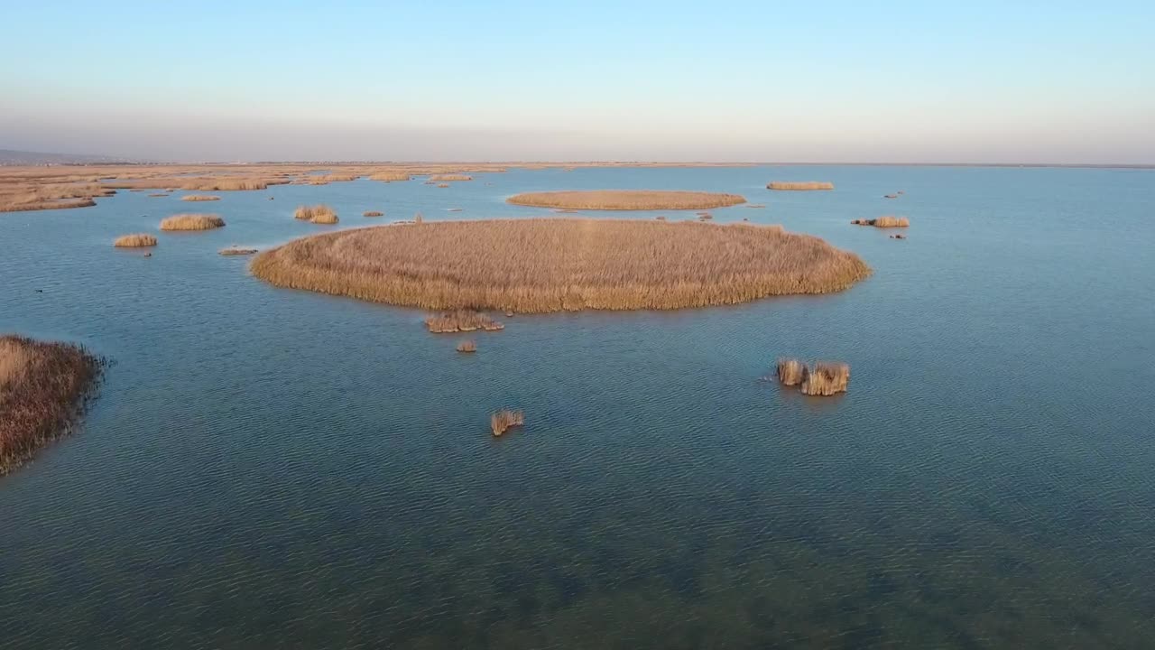 Stock Video Islands Of Reed Scattered In The Ocean Animated Wallpaper