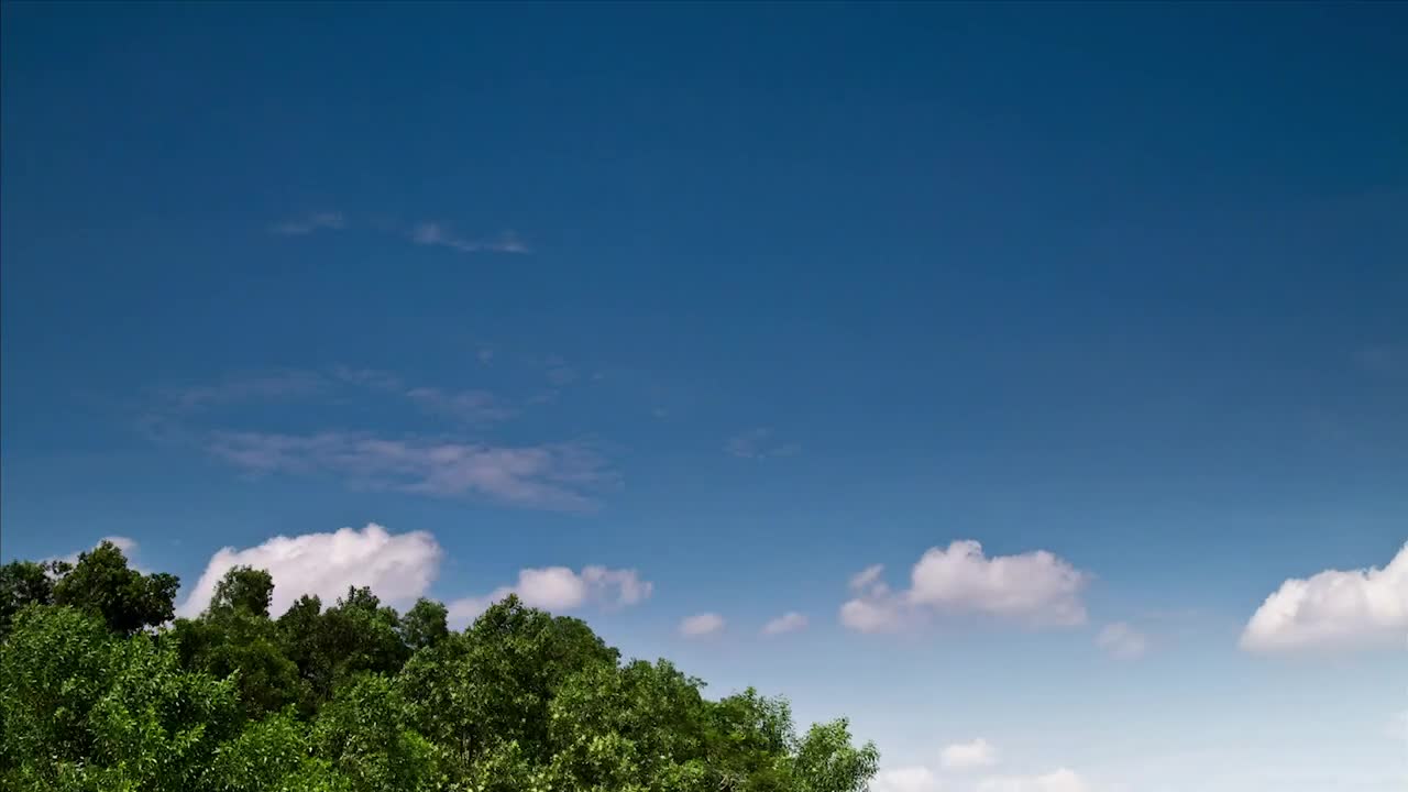 Stock Video Island Forest Blowing In The Wind Animated Wallpaper