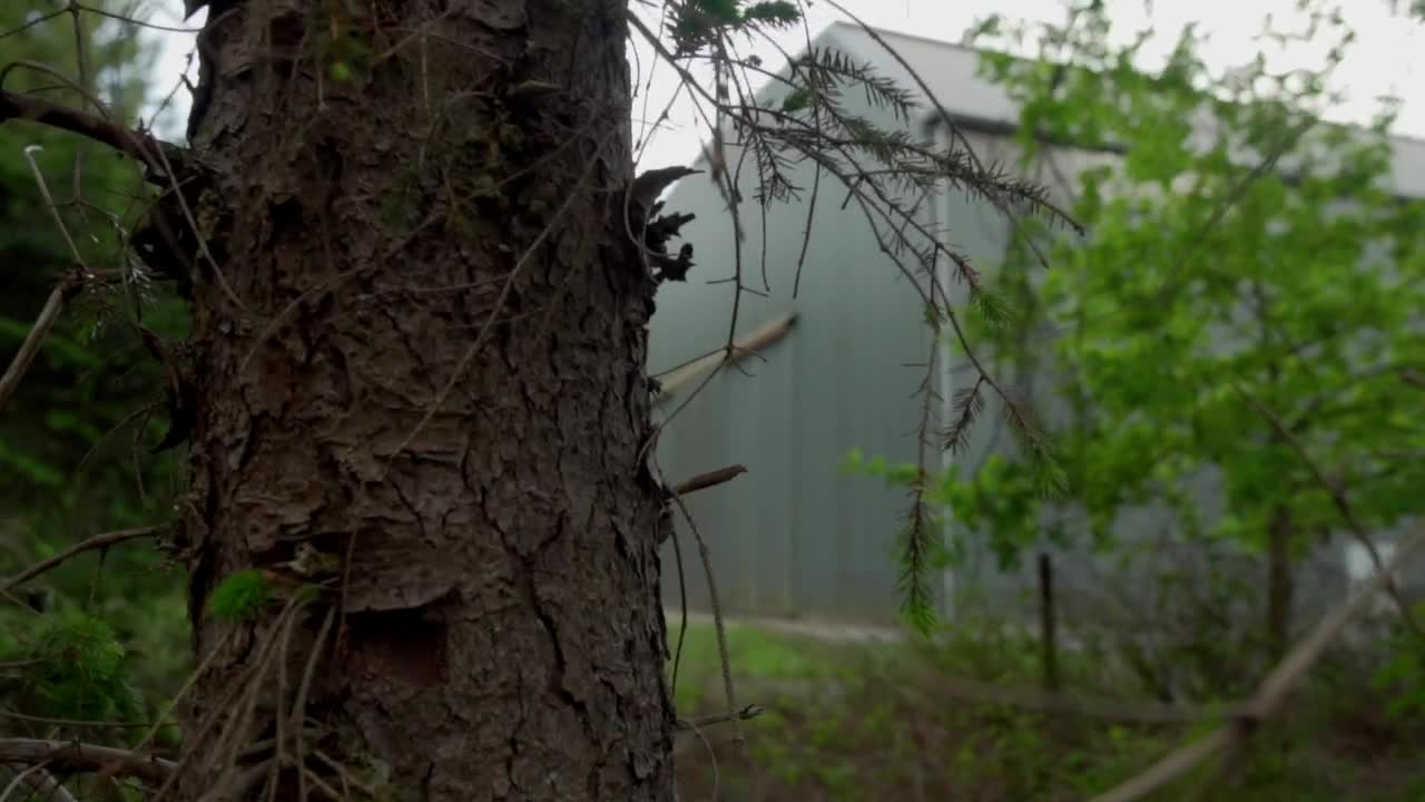 Stock Video Industrial Warehouse Between Trees And Vegetation Animated Wallpaper